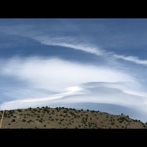 Meet your Posher, Billy